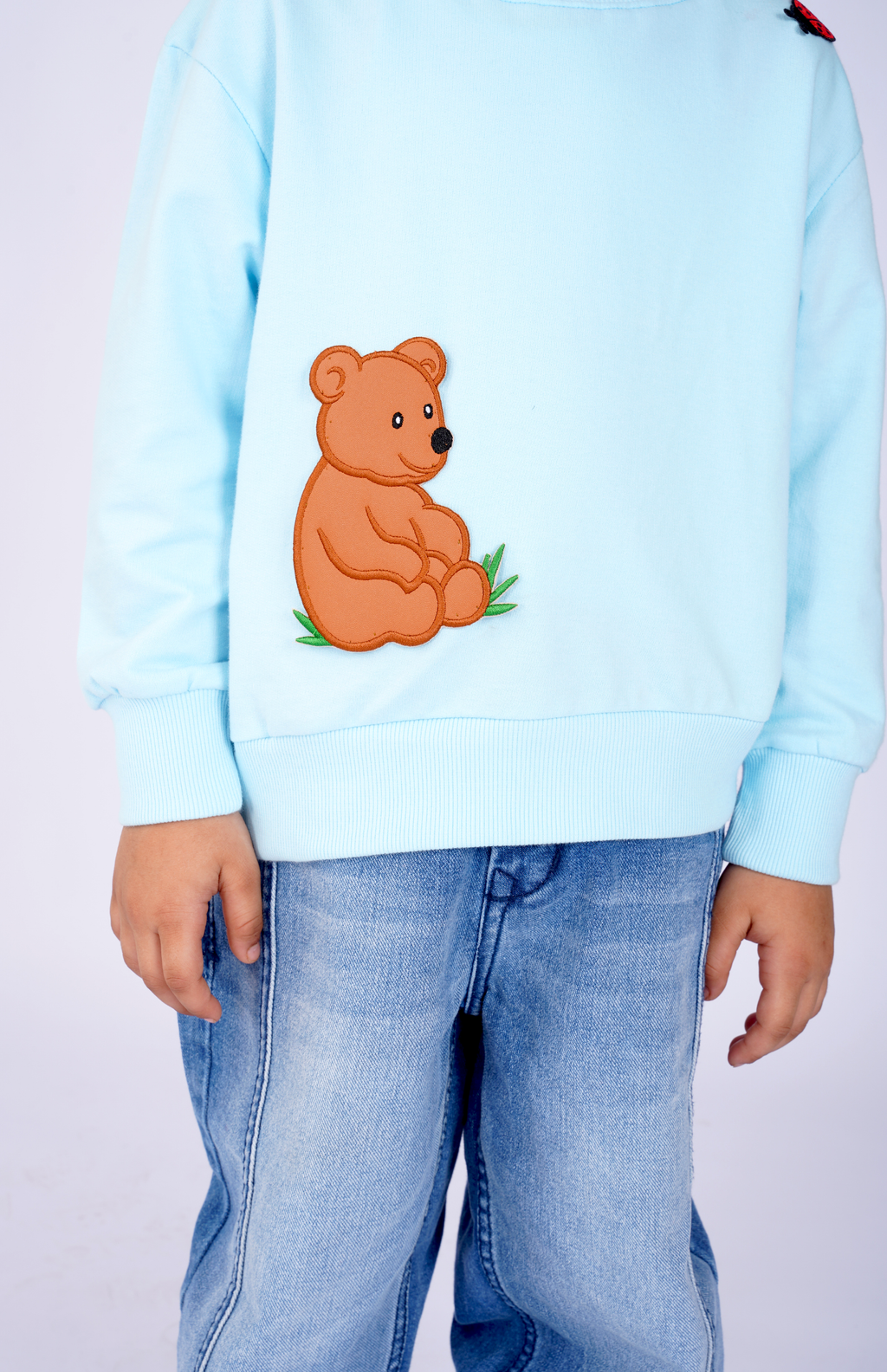 Bear and Ladybug adventure Sweatshirt
