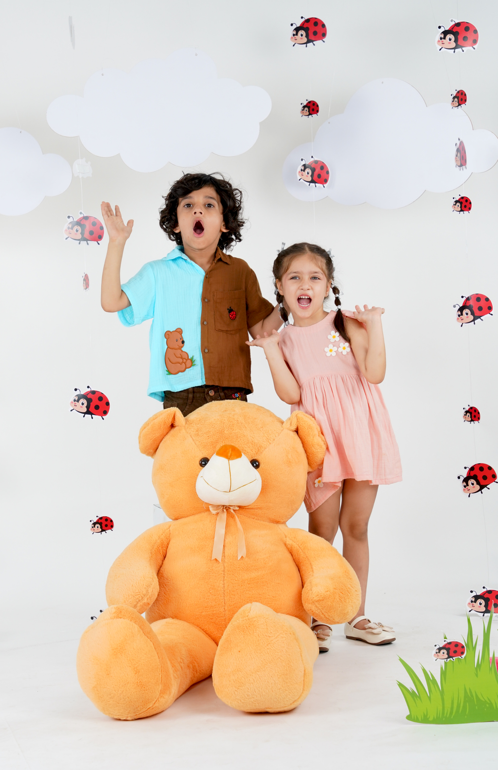 Bear and Ladybug Dual tone Shirt