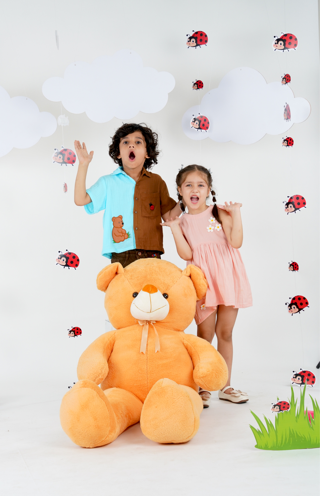 Bear and Ladybug Dual tone Shirt