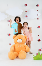 Bear and Ladybug Dual tone Shirt