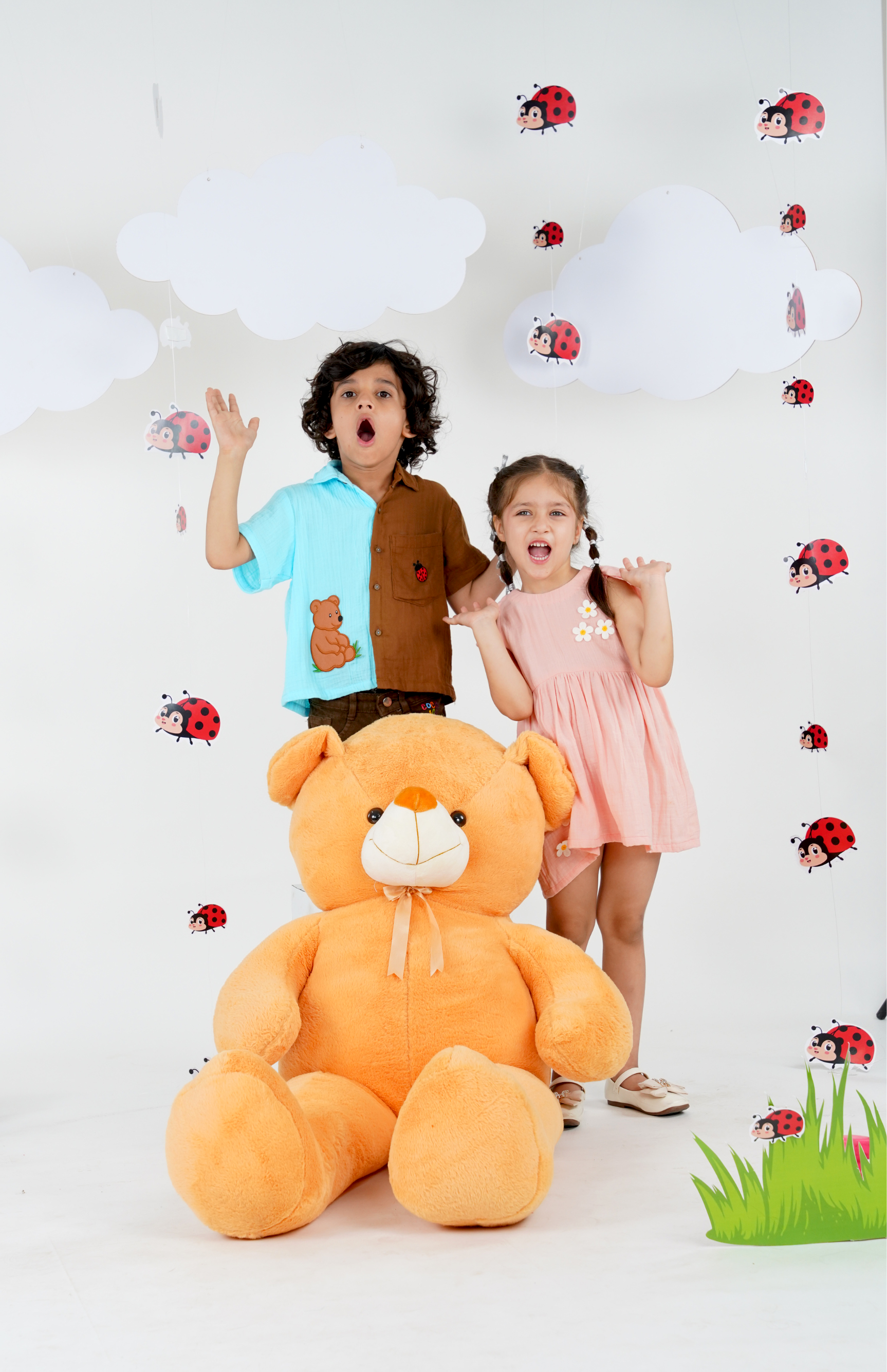 Bear and Ladybug Dual tone Shirt